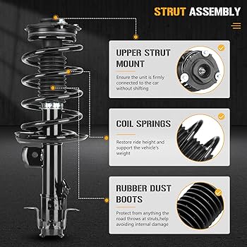 Amazon.com: Front Complete Strut Shock Absorber Compatible